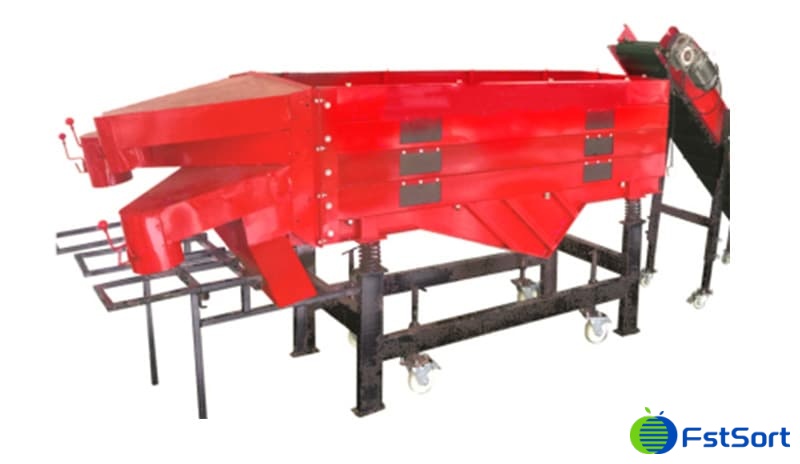 images/1755077169757dientes de ajo.jpg